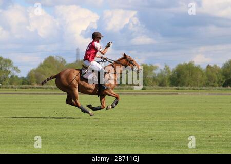 Solo polo player warming up before a polo tournament Stock Photo