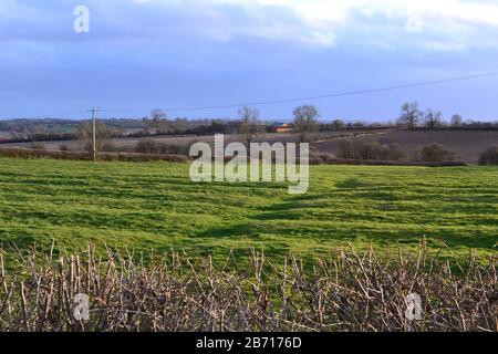 Ridge and furrow grass field at winter dusk, Brington Road, near Long Buckby, Northamptonshire, England Stock Photo