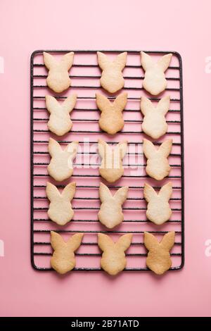 Easter bunny shaped cookies on pink background. Top view. Flat lay. Stock Photo