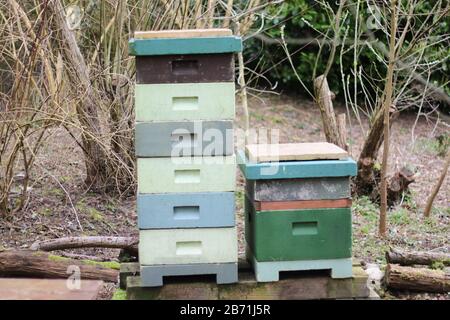 Bee Hive for Honey,  Droitwich Spa, Worcestershire England UK.  07/03/2020 Bee Hive for Honey A beehive is an enclosed, man-made structure in which th Stock Photo