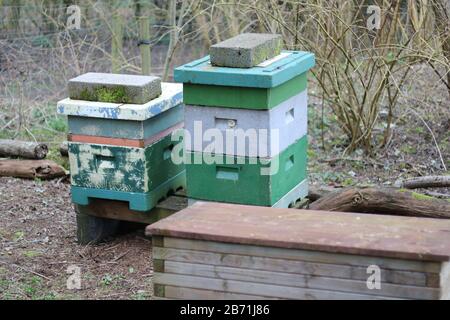Bee Hive for Honey,  Droitwich Spa, Worcestershire England UK.  07/03/2020 Bee Hive for Honey A beehive is an enclosed, man-made structure in which th Stock Photo