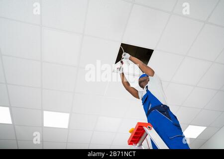 Young Male Electrician On Stepladder Installing Light On Ceiling Stock Photo
