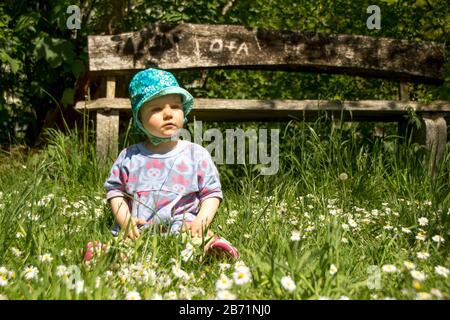 A little girl with hat and purple blouse sits in the grass in front of an old bench. it is summer and there are many white flowers in the grass Stock Photo