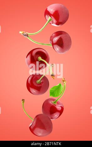 Falling fresh cherries isolated on red background Stock Photo