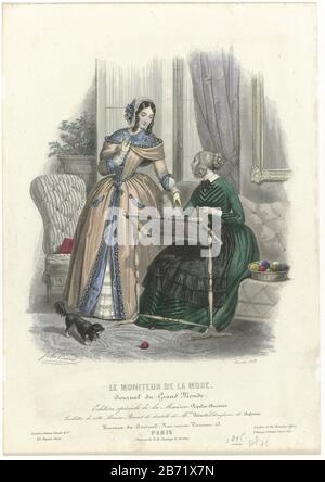 Two women in eejn interior, of whom: one embroidering behind a hoop. On the bench is a basket of balls of wool. In the foreground a dog playing with a ball of wool. According to the caption, "toilettes" Maison Popelin-DUCARRE. Hat from side Bidault. Shoes Dufossée. Print out the fashion magazine Le Moniteur de la Mode (1843-1913) . Manufacturer : printmaker: Lecomte (listed property) to drawing: Jules David (1808-1892) (listed building) Publisher: E. B. Strange & Brother (listed building) publisher: Dumus & Co. Feuillet (indicated on object) Place manufacture: to drawing of: Paris Publisher: N Stock Photo