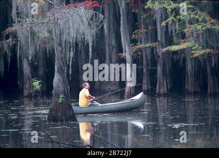 Uncertain Texas USA:  Fisherman on Caddo Lake, a natural swampy area on the border between Texas and Louisiana.  ©Bob Daemmrich Stock Photo