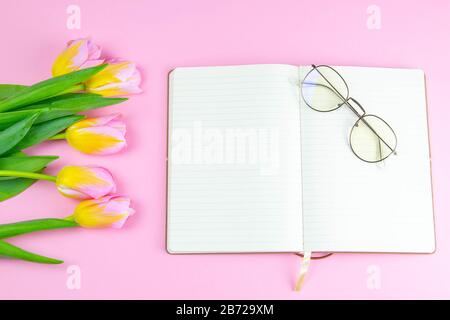 Colorful pinc and yellow tulip with open notebook and eyeglasses flat lay isolated on pinc background top view. Spring flower. Womans day, mothers day Stock Photo