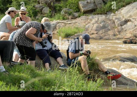 Durban, South Africa, people, group taking photographs at 2020 Duzi Canoe Marathon, professional photographer looking at digital camera screen, photos Stock Photo