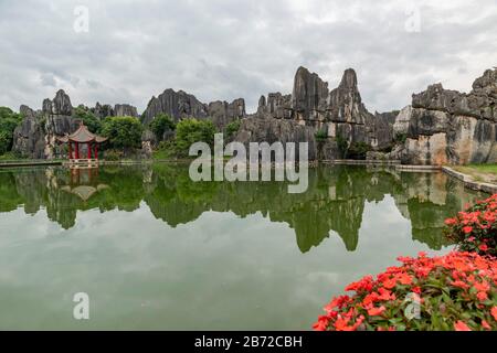 The Stone Forest in Kunming, Yunnan is a limestone geological wonder covering over 80 hectares and was designated a Unesco World Heritage Site. Stock Photo