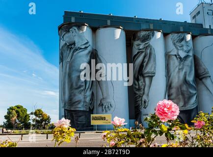 View from rose garden across Duke's Highway to the painted silos featuring children's portraits in Coonalpyn, South Australia. Stock Photo