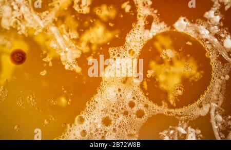 Abstract orange round shape. Texture and background. Macro image. Stock Photo