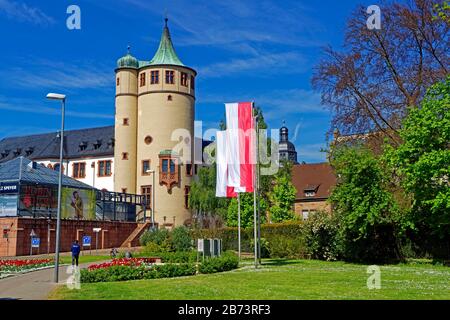 Germany, Rhineland-Palatinate, Speyer, Kipfelsau, SchUM town, place of the twin towns, beds of tulips, historical museum of the Palatinate, place of i Stock Photo