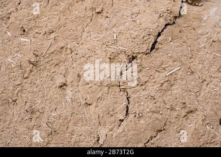 texture of clay wall from clay house background Stock Photo