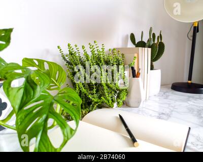 Bright white work interior with indoor plants and stationery creating a no stress work environment Stock Photo