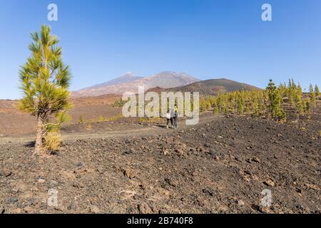 Walking on a route between Samara mountain and Teide in the National park, Las Canadas del teide, Tenerife, Canary Islands, Spain Stock Photo