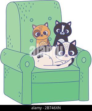 cute cats different breeds resting in green sofa cartoon vector illustration Stock Vector