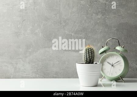 Cactus and alarm clock against grey background, space for text Stock Photo