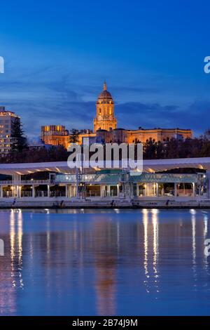 Vertical shot of the Malaga Cathedral seen from the port at night Stock Photo