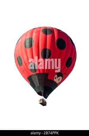 Balloonists / Aeronauts flying in hot-air balloon resembling a giant red ladybird against white background Stock Photo