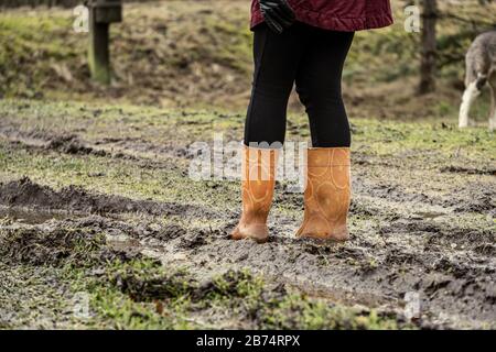 lucky brand fimberly bootie
