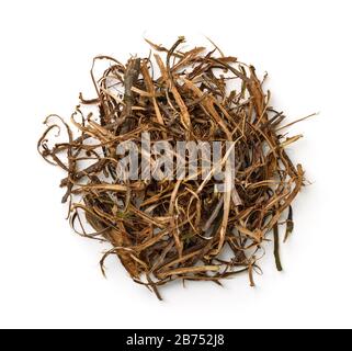 Top view of dried oak bark stripes isolated on white Stock Photo