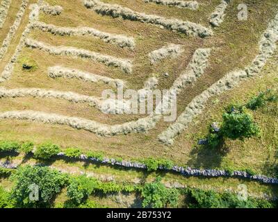 Valtellina (IT) - Traditional hay processing in the mountains Stock Photo