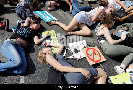 'Mass die In', at the demo 'Official Animal rights March 2019 at the Berliner Rosenthaler Platz, on 25.08.2019. The Animal Rights March is a demo of the vegan community for animal protection and animal rights. [automated translation] Stock Photo