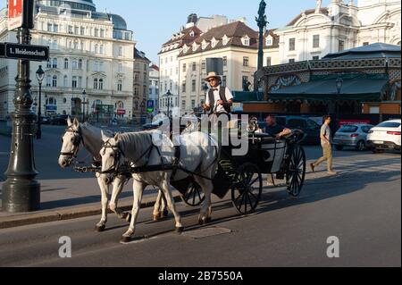 14.06.2019, Vienna, Austria, Europe - During a sightseeing tour in a horse-drawn carriage, a Fiaker takes tourists around the capital. [automated translation] Stock Photo