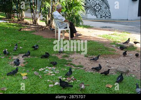 09.05.2019, Singapore, Republic of Singapore, Asia - A lonely old man sits on a chair in the city center with pigeons in a meadow. [automated translation] Stock Photo