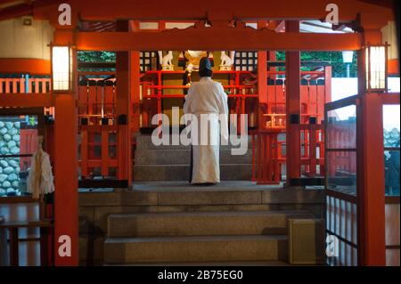 12/24/2017, Kyoto, Japan, Asia - A Shinto priest prays in a temple located on the way to Fushimi Inari-Taisha, a Shinto shrine in the Fushimi district of Kyoto City. [automated translation] Stock Photo