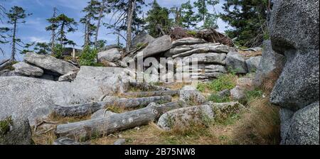 Overturned trees on the Dreisesselberg in the Bavarian Forest. In former times the mountain was forested everywhere, but due to bark beetle infestation there are only a few trees on the summit today. [automated translation] Stock Photo