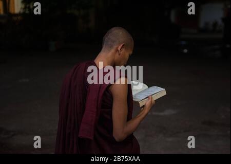 30.01.2017, Mawlamyine, Republic of the Union of Myanmar, Asia - A young monk studies Buddhist texts at White Elephant Monastery in Mawlamyine. [automated translation] Stock Photo
