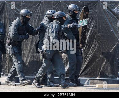 Police, Special Task Force, SEK, officer wearing full protective ...