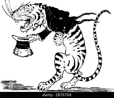 The tiger dressed up and holding hat in front leg, vintage line drawing or engraving illustration Stock Vector