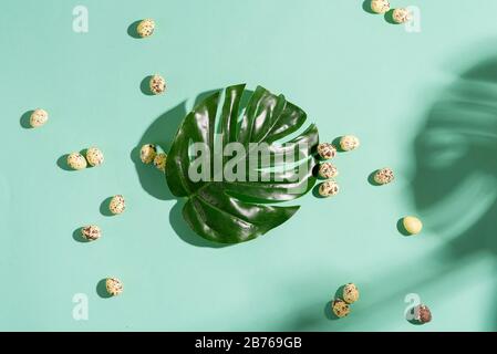 Easter festive card from fresh green tropical leaf of Monstera plant and small quail eggs on a light turquoise background, copy cpace. Happy Easter co Stock Photo