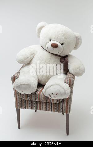 White teddy bear in chair. Isolated on white background Stock Photo