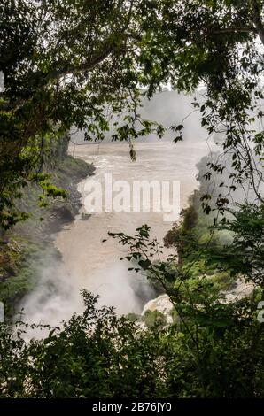 Iguazu Falls nature in Argentina with a view of trees and the river in the back Stock Photo