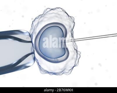 In vitro fertilisation, computer illustration. Stock Photo