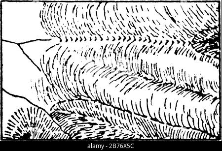 The Cartography showing contour lines joining points of equal height above a given level, for example a topographic map illustrating valleys, hills an Stock Vector