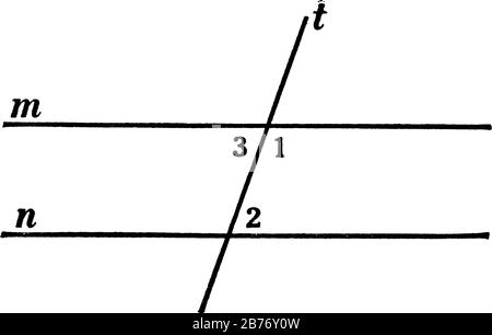 A typical representation of the geometric construction with two straight lines, m and n, cut by a transversal t, vintage line drawing or engraving ill Stock Vector