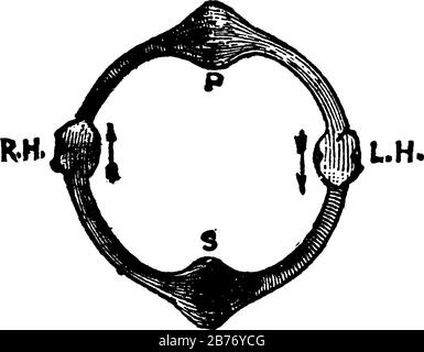 Diagram of circulation, showing, it shows the human systemic circulations in it, vintage line drawing or engraving Stock Vector