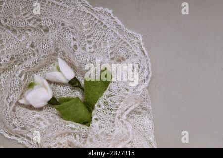 A large fragment of a bouquet of two snowdrops wrapped in a down shawl on the left. Stock Photo