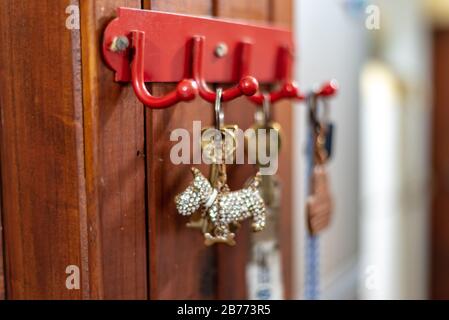 Keys with a key chain dog shape hanging on a wooden wall Stock Photo