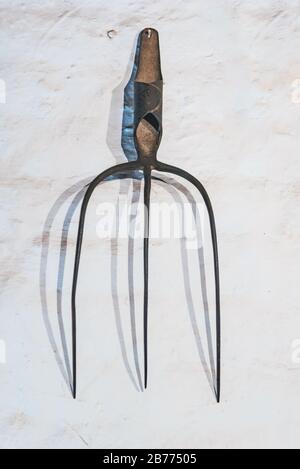 Pitchfork hanging on a white wall Stock Photo