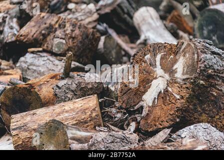 Pile of woodfire Stock Photo