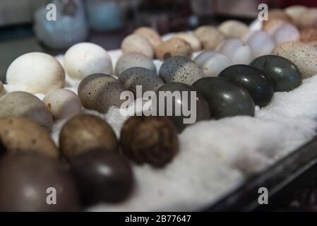 Giant eggs of different colors resting on a layer of white cotton Stock Photo