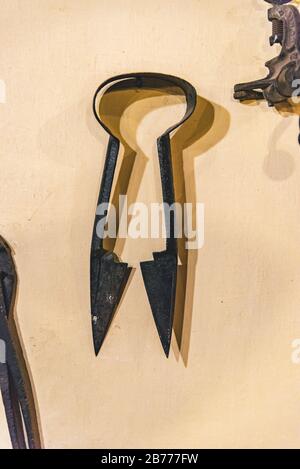 Scissors for shearing animals on a yellow background Stock Photo