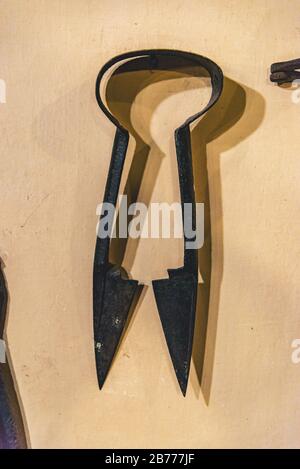 Scissors for shearing animals on a yellow background Stock Photo