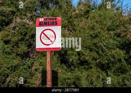 Warning sign that prohibits the extraction of clams. "Do NOT extract clams". With some pine bushes on the back and a blue sky Stock Photo