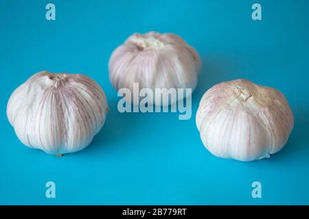 Three garlic bulbs isolated on bright blue background. Close up of seasonal vegetable. Fresh organic healthy food. Spicy culinary ingredient. Harvesting background Stock Photo